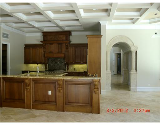 11206 Sunny Delight Ct, Odessa, FL 33556