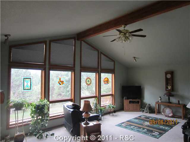 2716  Sunnywood Av, Woodland Park, CO 80863