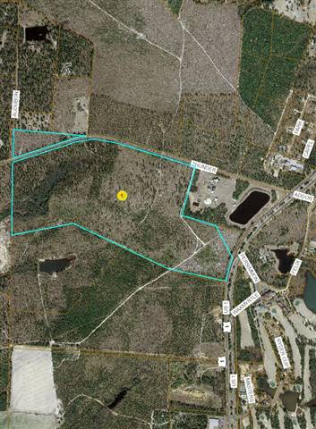 1000 Thunder Rd, Pinebluff, NC 28373